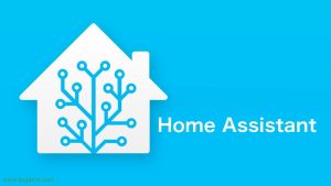 home assistant